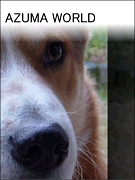_posterImage.jpg