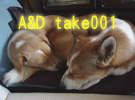 a&d001.jpg