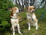 201003281.jpg