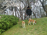 201003282.jpg