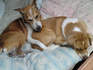 lifeximg_20101218140009.jpg