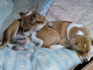 lifeximg_20101218140033.jpg