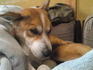 lifeximg_20120103144408.jpg