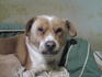 lifeximg_20120103144416.jpg